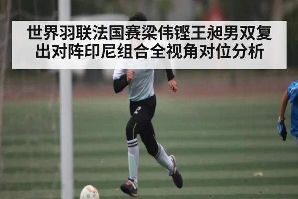 世界羽联法国赛梁伟铿王昶男双复出对阵印尼组合全视角对位分析